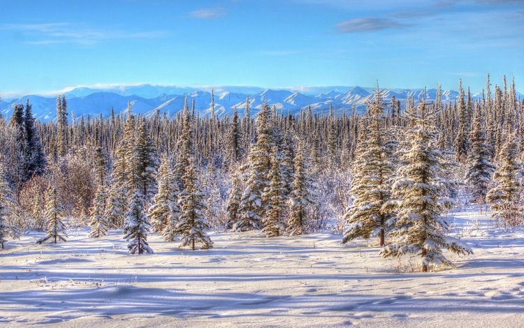 небо, горы, снег, природа, зима, пейзаж, аляска,     деревья, the sky, mountains, snow, nature, winter, landscape, alaska, trees