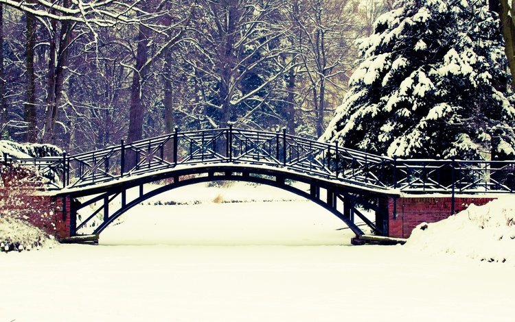 деревья, снег, природа, зима, пейзаж, парк, мост,     деревья, trees, snow, nature, winter, landscape, park, bridge