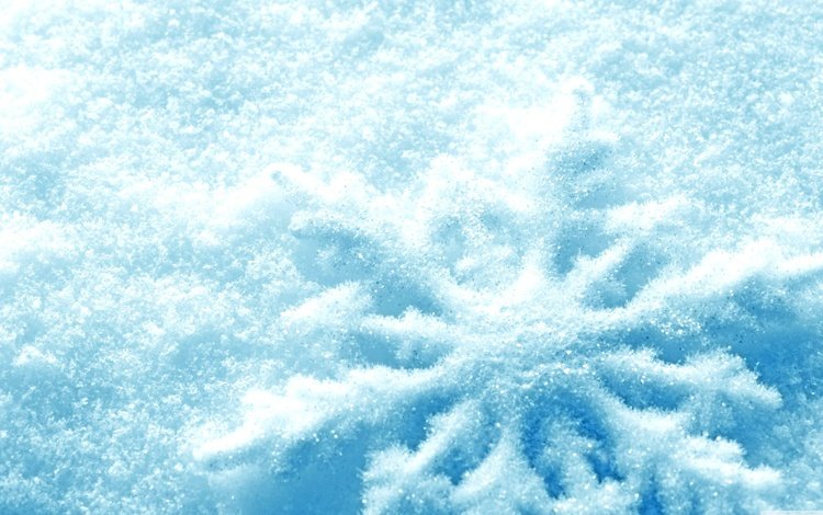 снег, природа, зима, макро, снежинки, мороз, снежинка, snow, nature, winter, macro, snowflakes, frost, snowflake