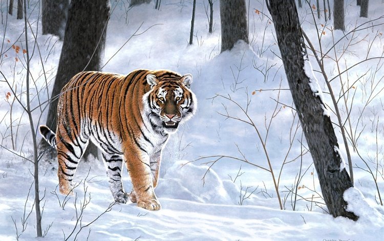тигр, снег, лес, зима, животные, тайга, живопись, emperor of siberia, charles frace, tiger, snow, forest, winter, animals, taiga, painting
