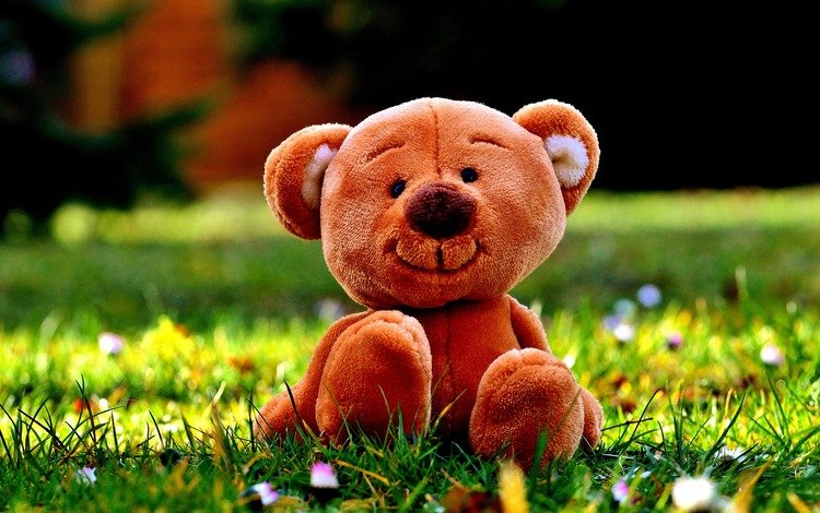 цветы, трава, медведь, мишка, игрушка, луг, плюшевый медведь, flowers, grass, bear, toy, meadow, teddy bear