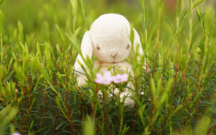 цветы, трава, настроение, игрушка, кролик, зайка, flowers, grass, mood, toy, rabbit, bunny