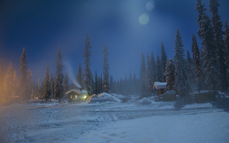 ночь, лапландия, деревья, снег, природа, лес, зима, домик, швеция, night, lapland, trees, snow, nature, forest, winter, house, sweden