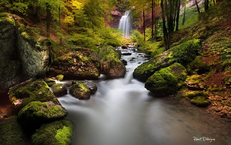 река, природа, лес, водопад, осень, river, nature, forest, waterfall, autumn