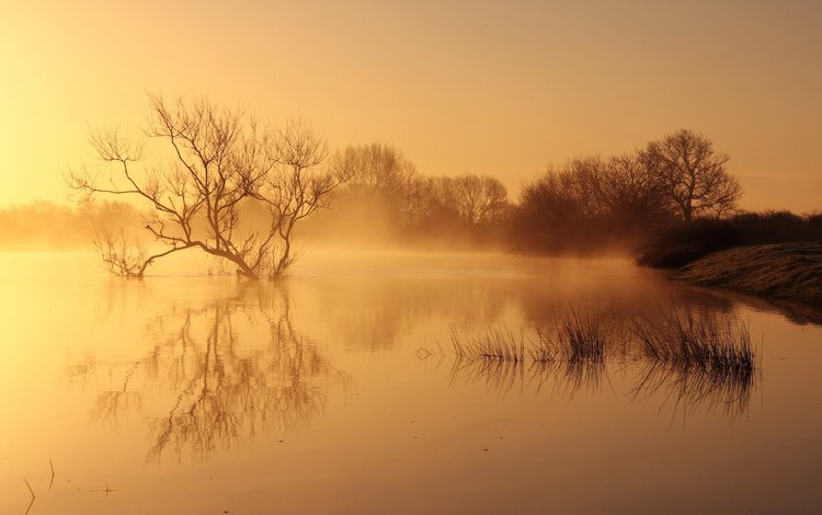 река, природа, пейзаж, утро, туман, рассвет, river, nature, landscape, morning, fog, dawn