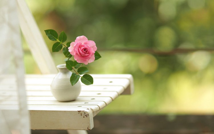 цветок, роза, стул, ваза, боке, вазочка, flower, rose, chair, vase, bokeh