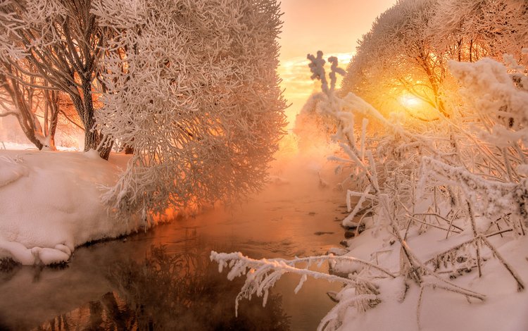 деревья, река, природа, зима, утро, рассвет, иней, trees, river, nature, winter, morning, dawn, frost