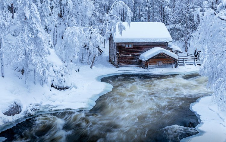 река, природа, лес, зима, домик, jari ehrstrom, river, nature, forest, winter, house