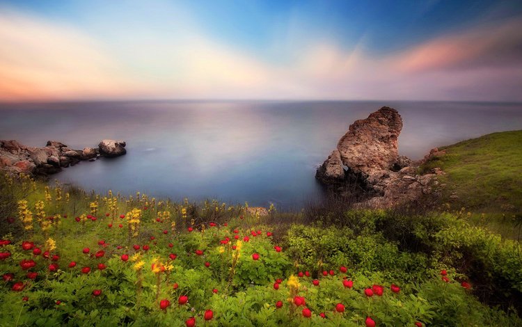 небо, цветы, скалы, берег, пейзаж, море, the sky, flowers, rocks, shore, landscape, sea