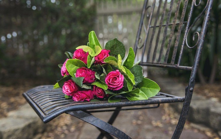 цветы, розы, стул, букет, flowers, roses, chair, bouquet