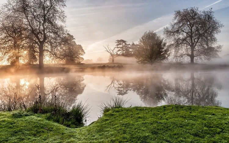 деревья, река, природа, отражение, утро, туман, trees, river, nature, reflection, morning, fog