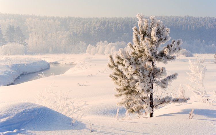 река, снег, природа, зима, россия, сосна, урал, river, snow, nature, winter, russia, pine, ural