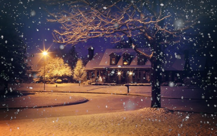 деревья, вечер, снег, природа, зима, дом, фонарь, снегопад, trees, the evening, snow, nature, winter, house, lantern, snowfall