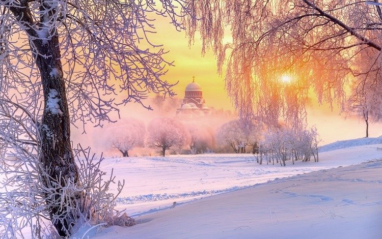 деревья, природа, храм, зима, утро, иней, trees, nature, temple, winter, morning, frost