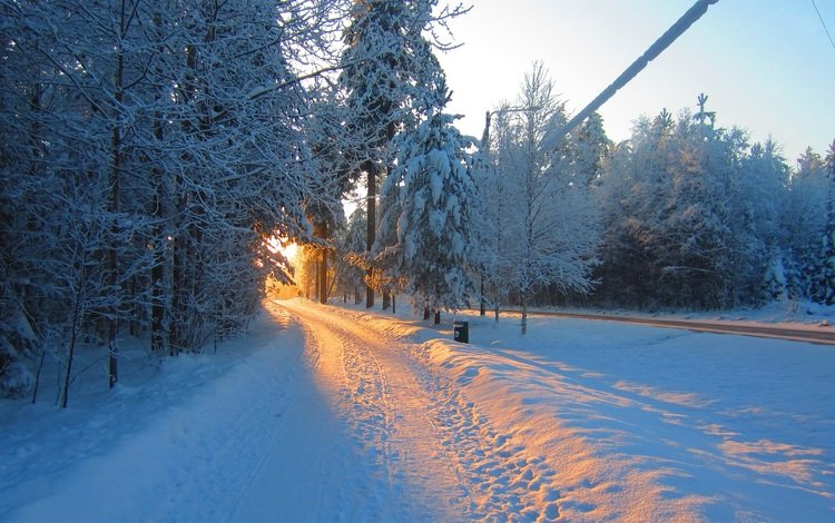 дорога, снег, природа, лес, зима, утро, солнечный свет, road, snow, nature, forest, winter, morning, sunlight