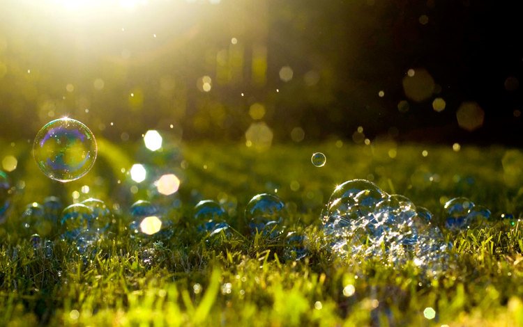 трава, макро, блики, мыльные пузыри, солнечный свет, grass, macro, glare, bubbles, sunlight