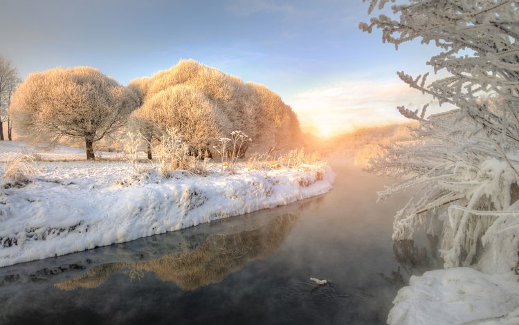 деревья, река, природа, зима, утро, иней, trees, river, nature, winter, morning, frost