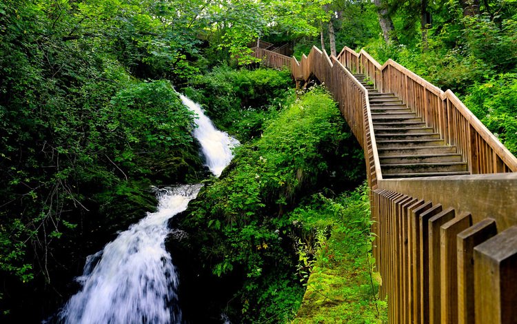 лестница, водопад, поток, ущелье, норвегия, тронхейм, edoardo trabace, hiking in bymarka, ladder, waterfall, stream, gorge, norway, trondheim