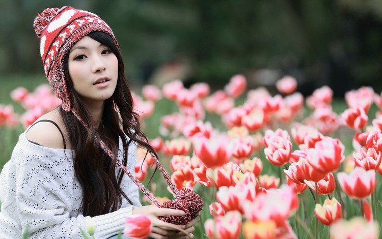 цветы, природа, девушка, тюльпаны, шапка, азиатка, flowers, nature, girl, tulips, hat, asian