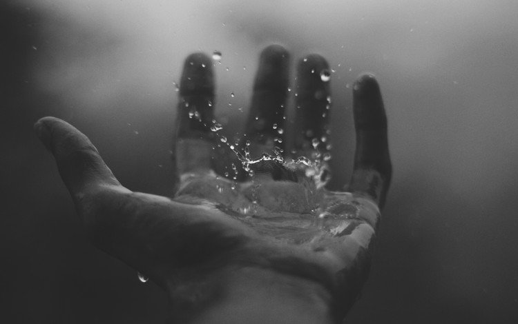 рука, капли, чёрно-белое, дождь, капли воды, hand, drops, black and white, rain, water drops