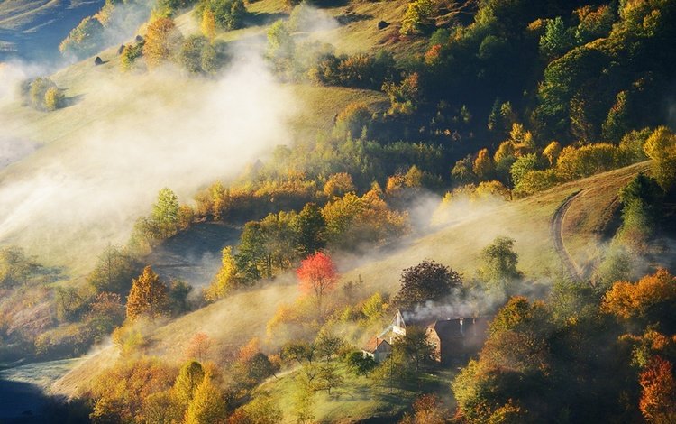 дорога, деревья, холмы, лес, туман, осень, дома, stefan chirobocea, road, trees, hills, forest, fog, autumn, home