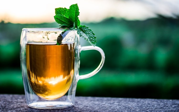 мята, напиток, кружка, чай, травяной чай, mint, drink, mug, tea, herbal tea