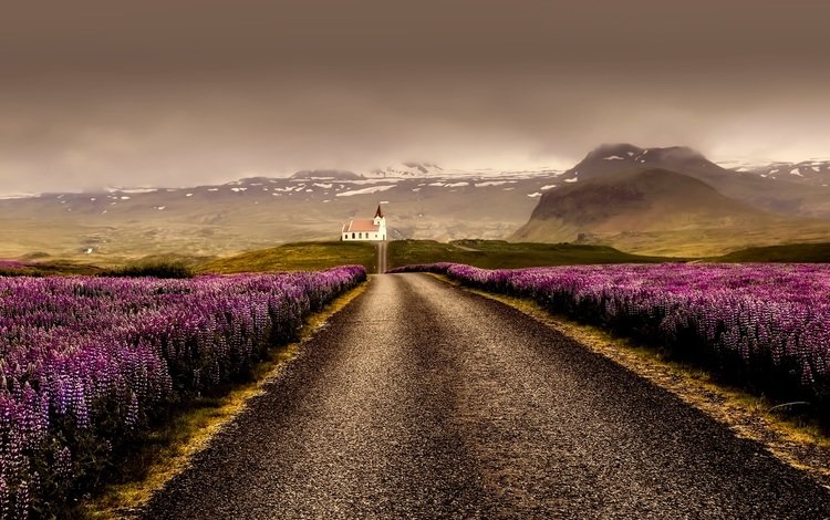 дорога, горы, тучи, поля, лаванда, горизонт, гора, исландия, road, mountains, clouds, field, lavender, horizon, mountain, iceland
