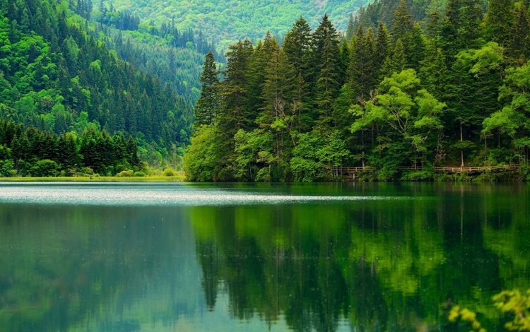 озеро, сычуань, горы, природа, лес, отражение, азия, китай, леса, цзючжайгоу, jiuzhaigou, lake, sichuan, mountains, nature, forest, reflection, asia, china