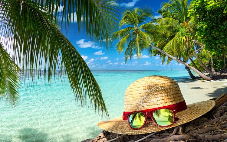 лето, очки, пальмы, океан, тропики, шляпа, отпуск, summer, glasses, palm trees, the ocean, tropics, hat, vacation