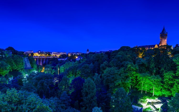 ночь, деревья, огни, панорама, мост, замок, дома, люксембург, night, trees, lights, panorama, bridge, castle, home, luxembourg