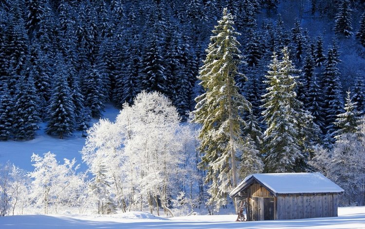 деревья, снег, природа, лес, зима, домик, германия, бавария, trees, snow, nature, forest, winter, house, germany, bayern