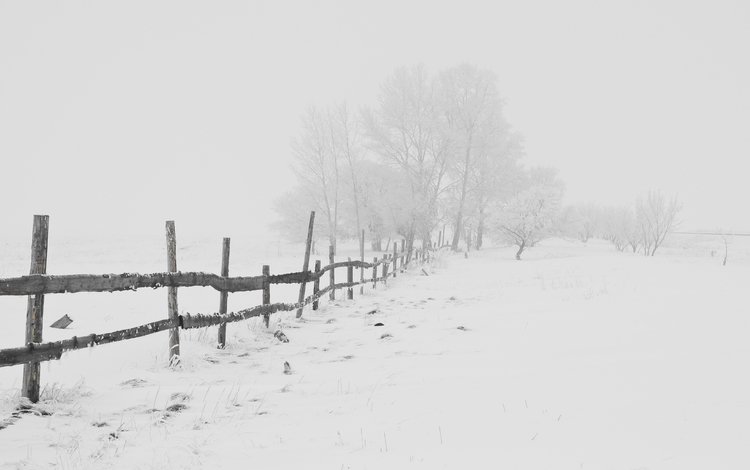 дорога, деревья, снег, зима, мороз, забор, метель, road, trees, snow, winter, frost, the fence, blizzard