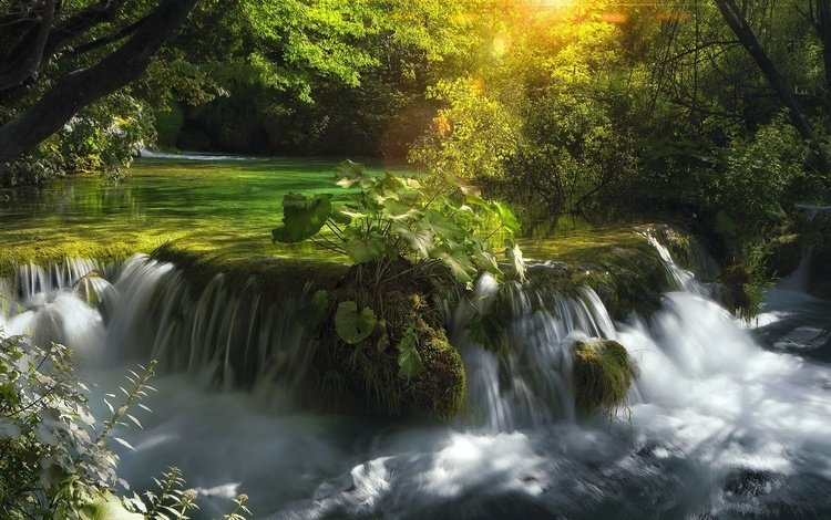 река, природа, лес, водопад, хорватия, каскад, river, nature, forest, waterfall, croatia, cascade