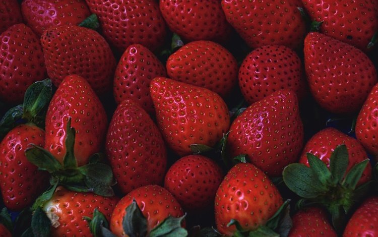 клубника, спелая, ягоды, strawberry, ripe, berries