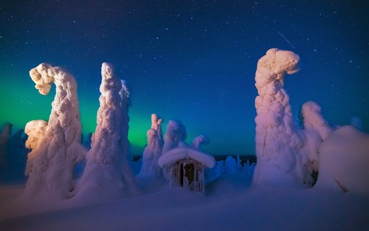 ночь, деревья, снег, природа, лес, зима, домик, night, trees, snow, nature, forest, winter, house