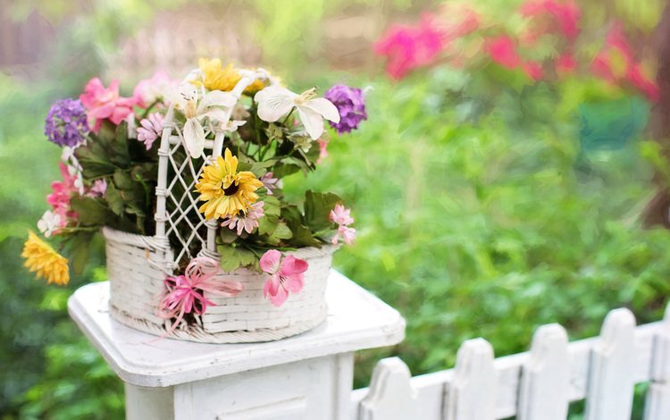 цветы, природа, лето, забор, букет, корзина, flowers, nature, summer, the fence, bouquet, basket