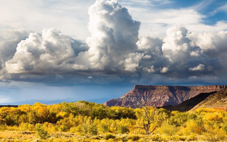 небо, холм, облака, долина, природа, zion national park, горный хребет, пейзаж, поле, горизонт, луг, пастбище, the sky, hill, clouds, valley, nature, mountain range, landscape, field, horizon, meadow, pasture