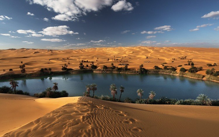 небо, облака, озеро, песок, пустыня, оазис, sahara, the sky, clouds, lake, sand, desert, oasis