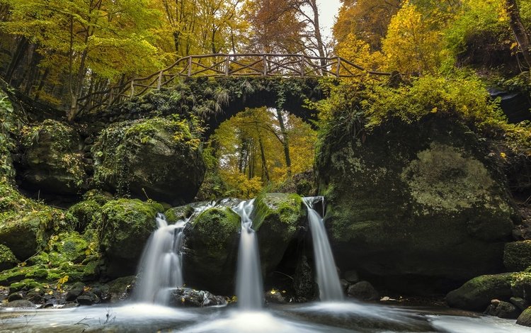 деревья, река, мост, водопад, осень, мох, люксембург, trees, river, bridge, waterfall, autumn, moss, luxembourg
