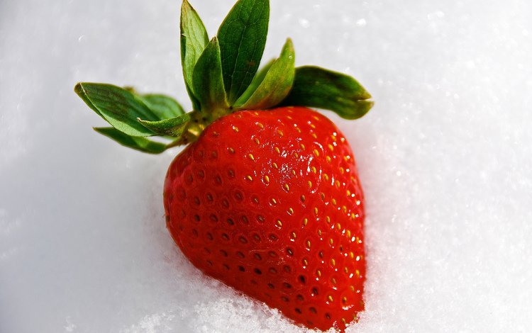 снег, ягода, клубника, snow, berry, strawberry
