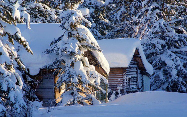 деревья, снег, природа, зима, домики, сша, аляска, trees, snow, nature, winter, houses, usa, alaska