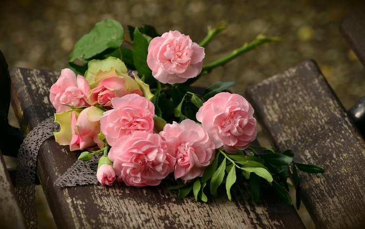 цветы, бутоны, розы, лепестки, скамейка, букет, розовые, flowers, buds, roses, petals, bench, bouquet, pink