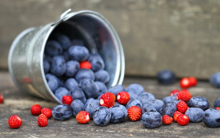 ягоды, черника, земляника, ведерко, berries, blueberries, strawberries, bucket