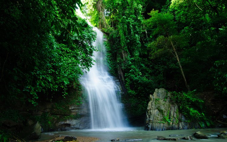 река, природа, зелень, растения, водопад, джунгли, river, nature, greens, plants, waterfall, jungle