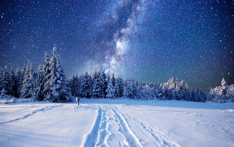 следы, небо, ели, дорога, ночь, снег, природа, лес, зима, звезды, traces, the sky, ate, road, night, snow, nature, forest, winter, stars