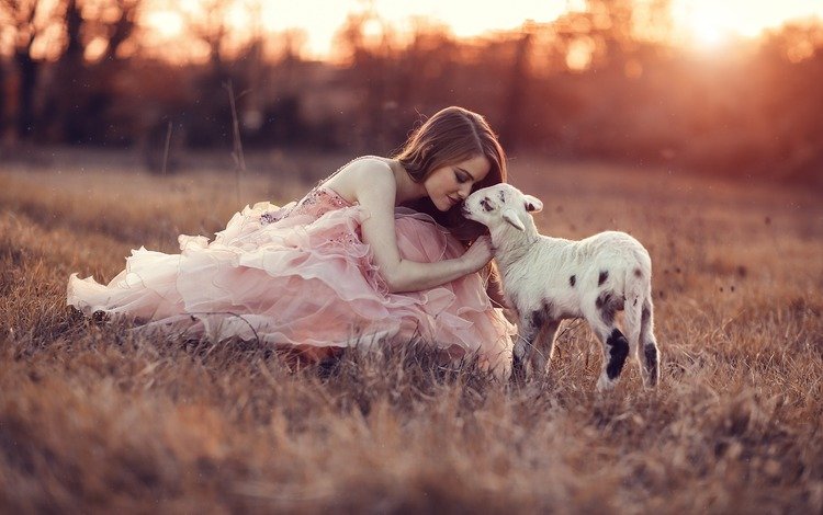 трава, закат, девушка, настроение, козленок, розовое платье, grass, sunset, girl, mood, goat, pink dress