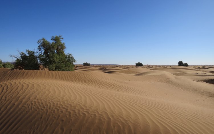 природа, пейзаж, песок, пустыня, дюны, nature, landscape, sand, desert, dunes