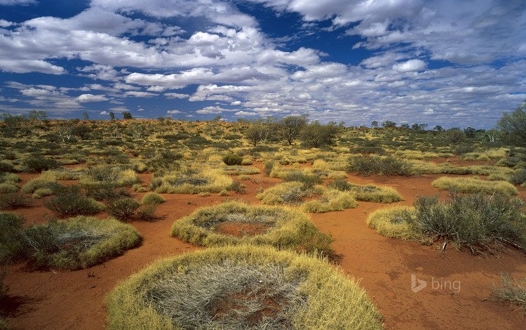 небо, трава, облака, пустыня, австралия, кольца, the sky, grass, clouds, desert, australia, ring