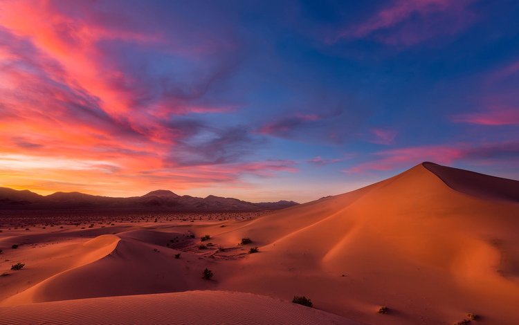 небо, облака, песок, горизонт, пустыня, закат солнца, сумерки, дюны, the sky, clouds, sand, horizon, desert, sunset, twilight, dunes