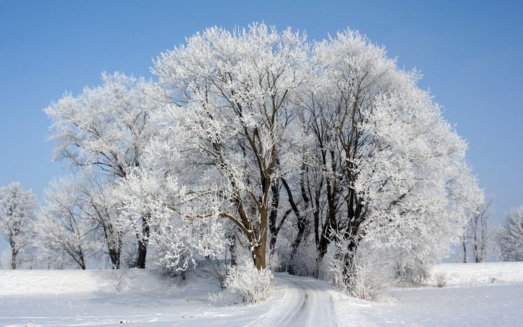 небо, дорога, деревья, снег, зима, иней, the sky, road, trees, snow, winter, frost